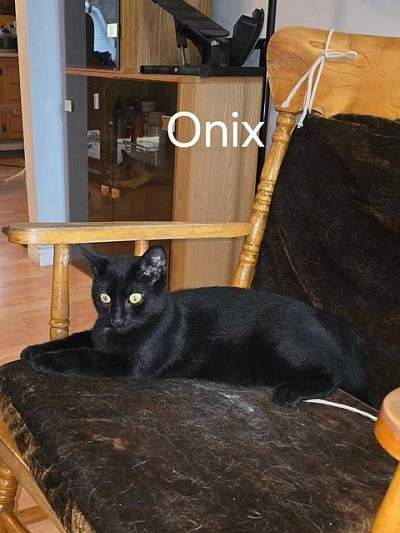 Onix