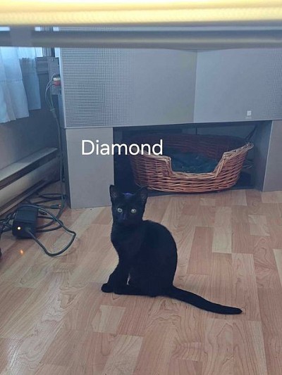 Diamond